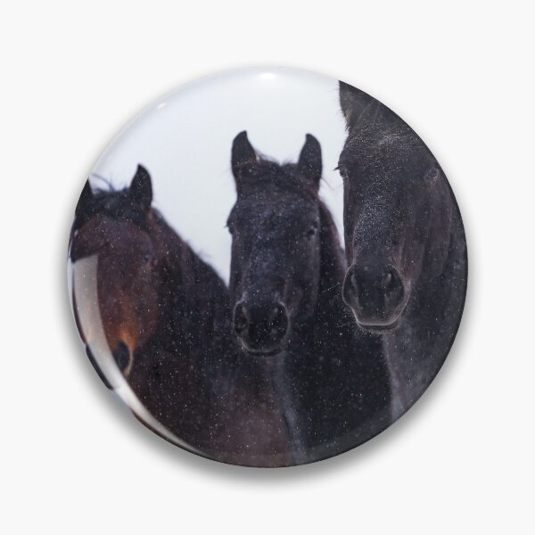 Item preview, The Brothers Roan designed and sold by Gralyn Boyd.