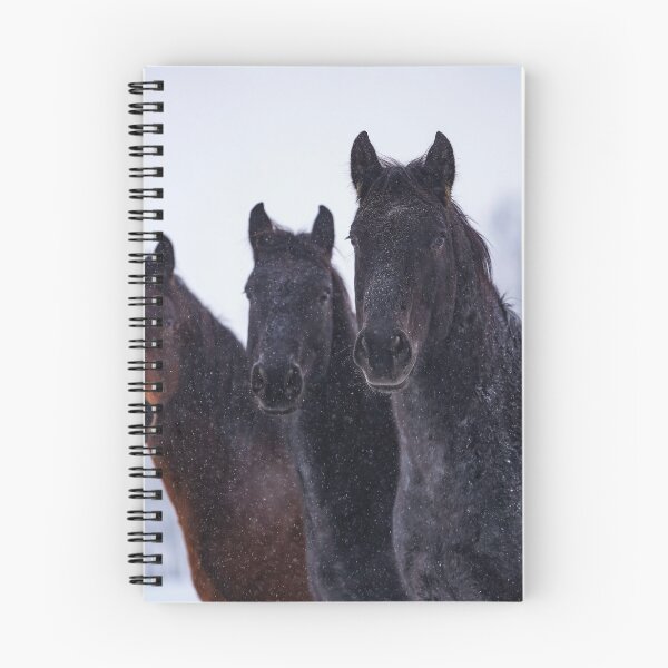Item preview, The Brothers Roan designed and sold by Gralyn Boyd.