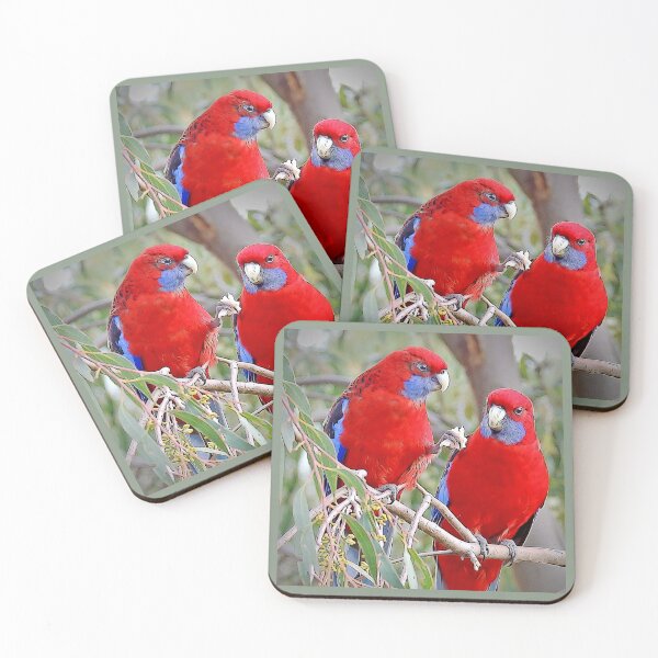 Item preview, Crimson Rosellas designed and sold by Trish Hart.