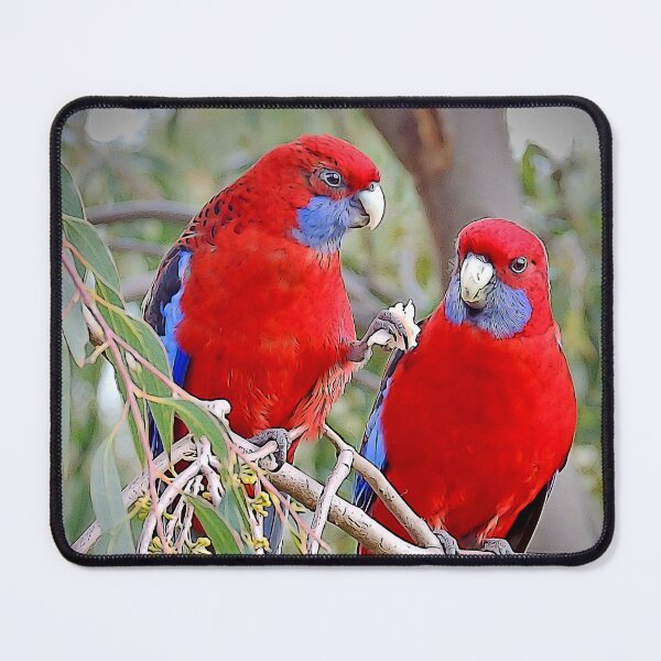 Item preview, Crimson Rosellas designed and sold by Trish Hart.