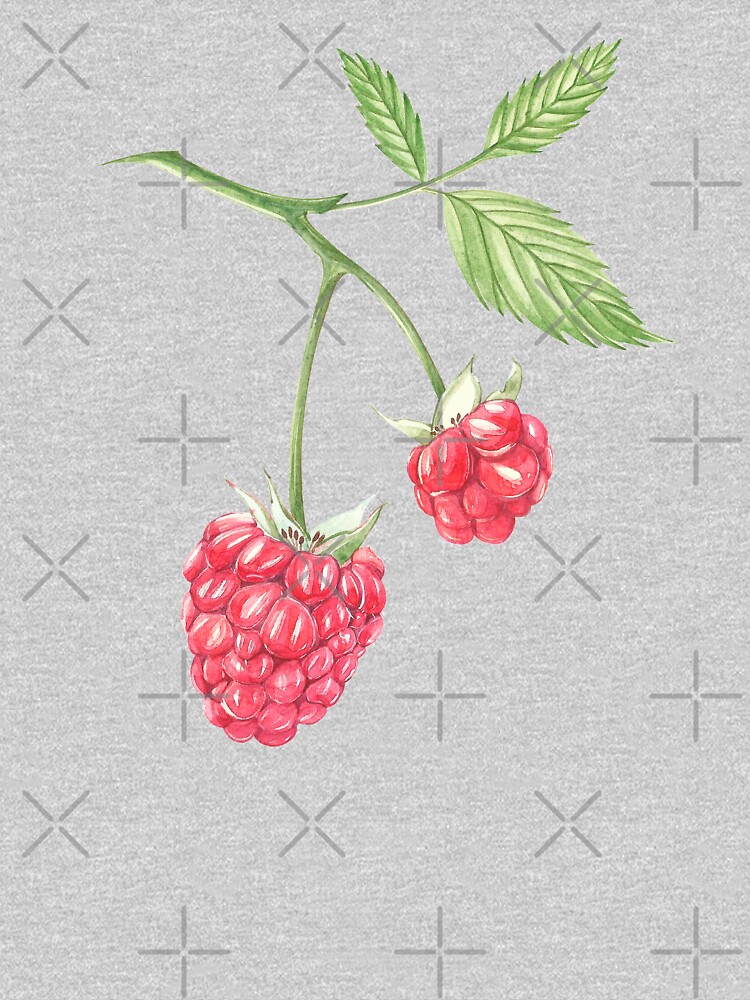 Raspberry Botanical 