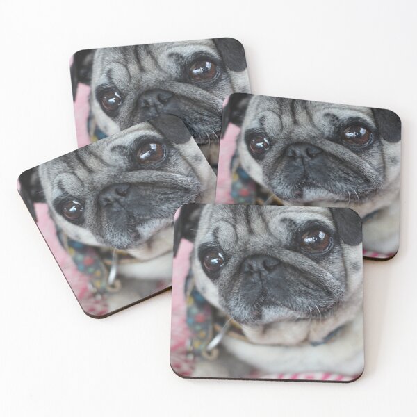 Item preview, This Pug has got some sass designed and sold by SilentlyRob668.