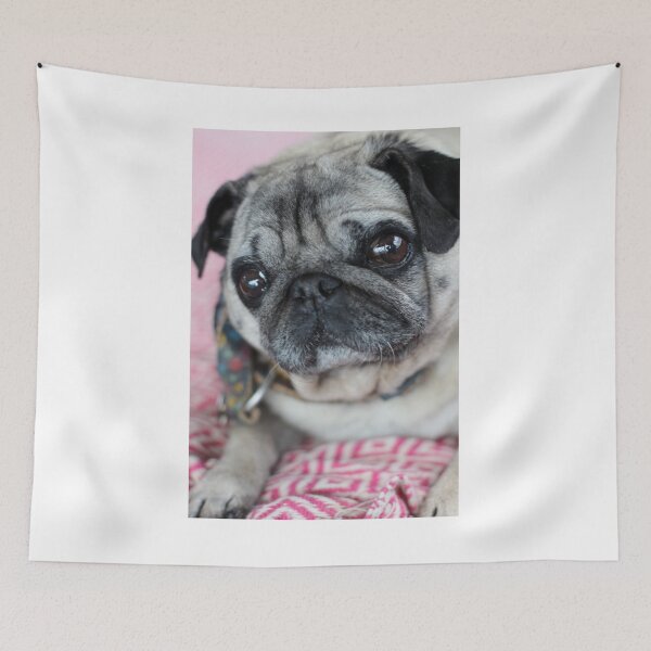 Item preview, This Pug has got some sass designed and sold by SilentlyRob668.