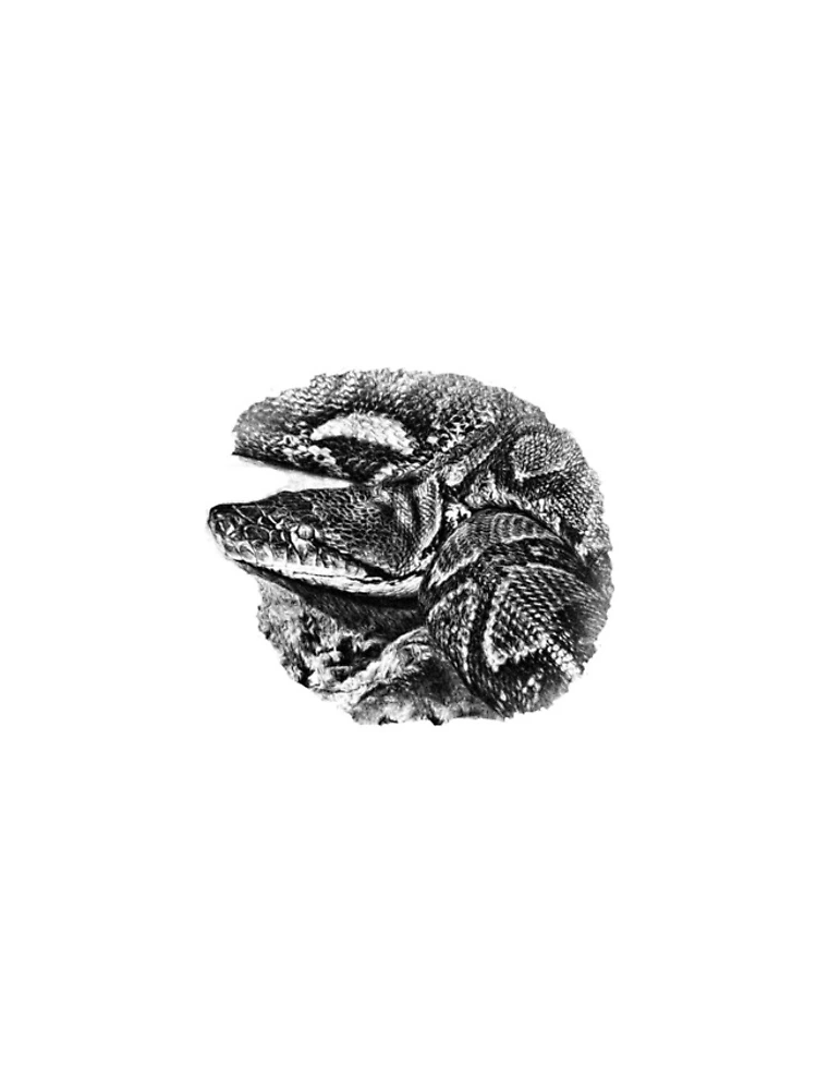 Thumbnail 4 of 4, iPhone Case, Python designed and sold by Guardi71.