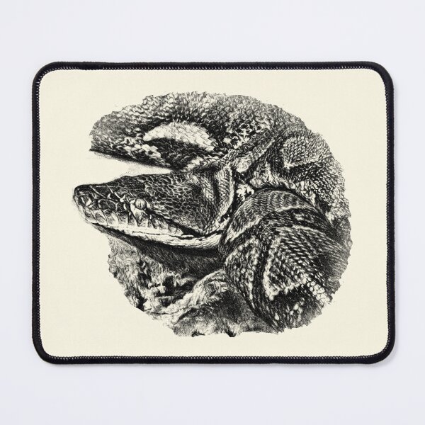 Item preview, Python designed and sold by Guardi71.