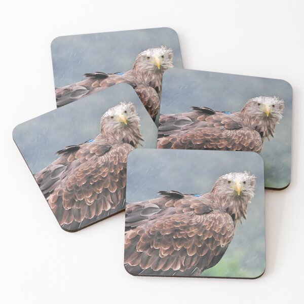 Item preview, The stunning White Tailed Eagle designed and sold by Wildlifespotter.