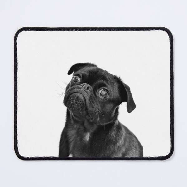 Artikelvorschau, Judgemental Black Pug - Fun and Cute Pug Dog Design, gift for dog lovers entworfen und verkauft von Seneku-Design.