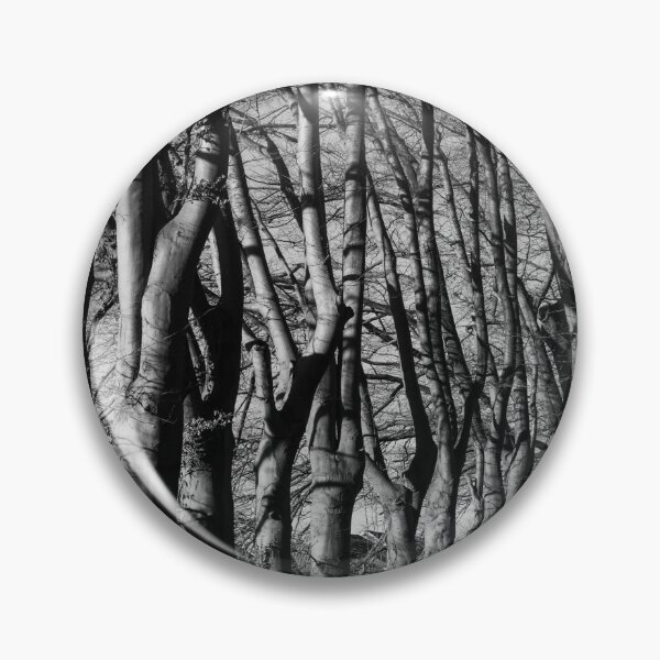 Item preview, Beautiful Beech Trees, Lede, Belgium designed and sold by Imladris01.