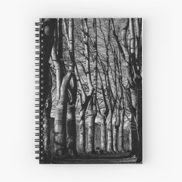 Item preview, Beautiful Beech Trees, Lede, Belgium designed and sold by Imladris01.
