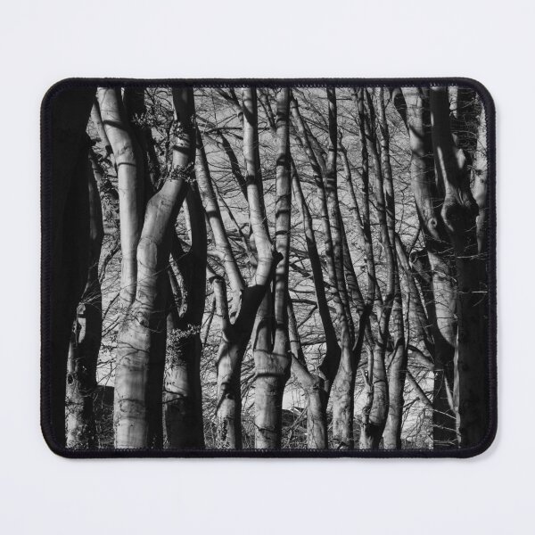 Item preview, Beautiful Beech Trees, Lede, Belgium designed and sold by Imladris01.
