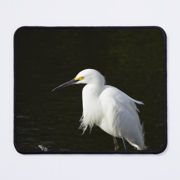 Item preview, Windblown Snowy Egret designed and sold by MercerImages.