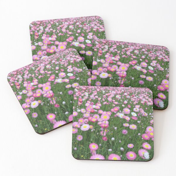 Item preview, Everlastings - Paper Daisy  designed and sold by TMHCreativeCo.