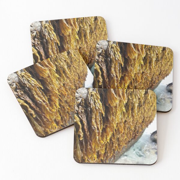 Item preview, Algas que crecen sobre una roca designed and sold by Blissfully-MK.