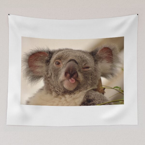 Item preview, Winking koala designed and sold by AlizadaStudios.