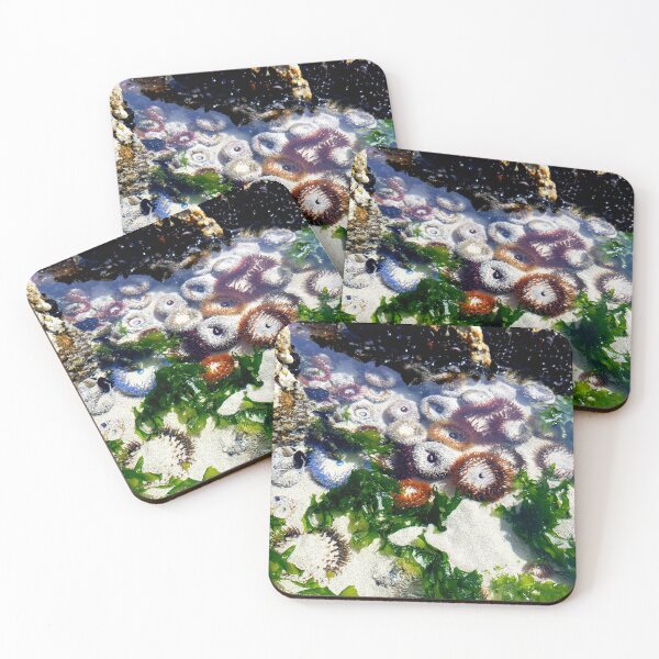 Item preview, Anemone at the beach designed and sold by Blissfully-MK.