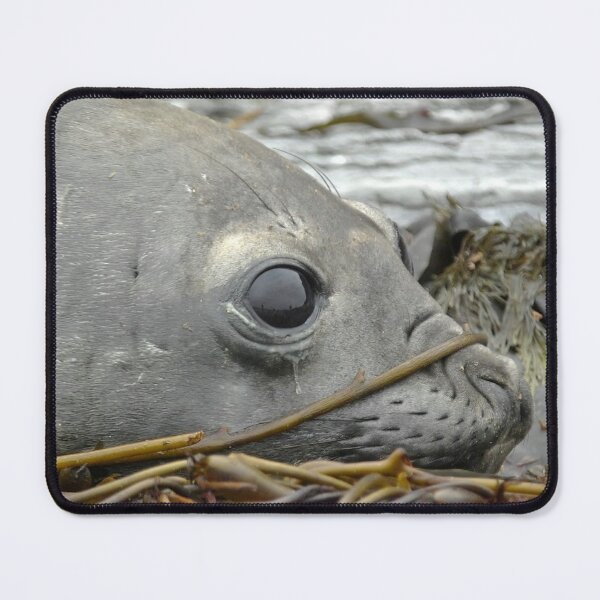 Item preview, Lazy days Falklands designed and sold by skanner30.