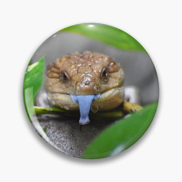 Item preview, Blue Tongued Skink designed and sold by megjayne-photos.