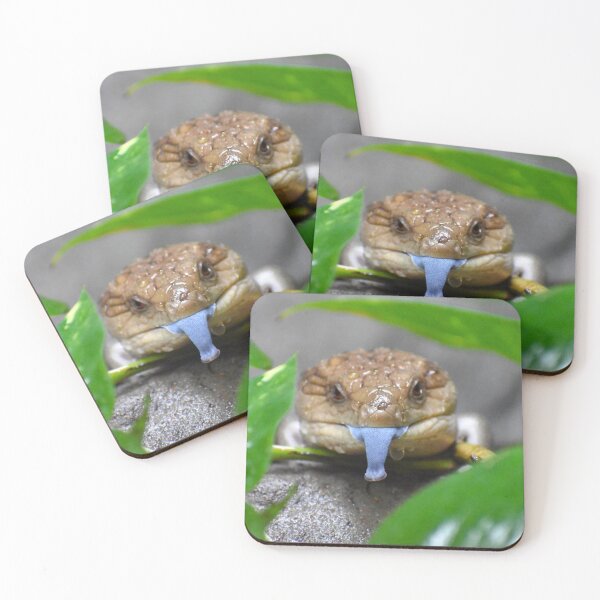 Item preview, Blue Tongued Skink designed and sold by megjayne-photos.