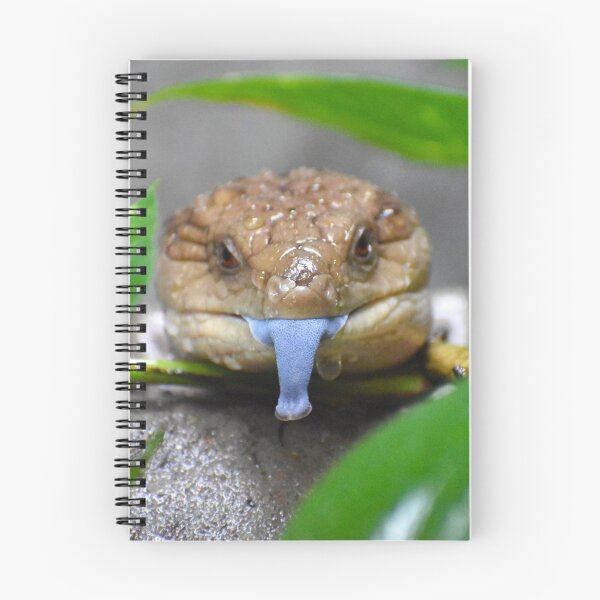 Item preview, Blue Tongued Skink designed and sold by megjayne-photos.