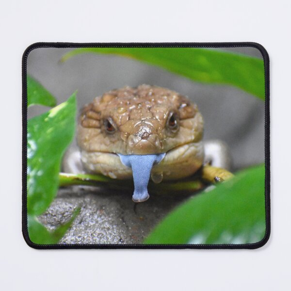 Item preview, Blue Tongued Skink designed and sold by megjayne-photos.