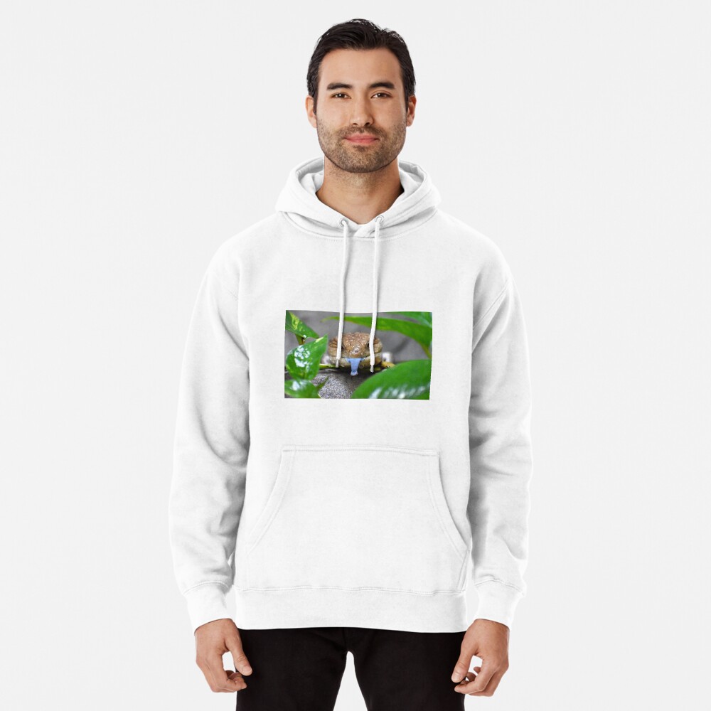 Item preview, Pullover Hoodie designed and sold by megjayne-photos.