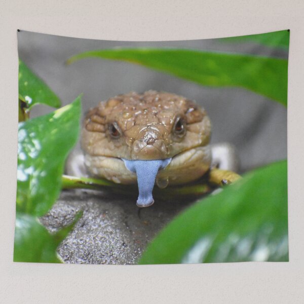 Item preview, Blue Tongued Skink designed and sold by megjayne-photos.