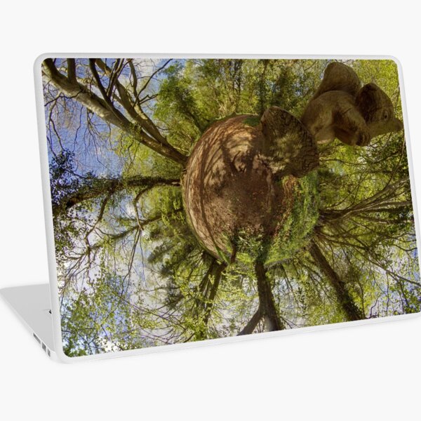 Squirrel Sculpture on path through Prehen Woods, Derry Laptop Skin