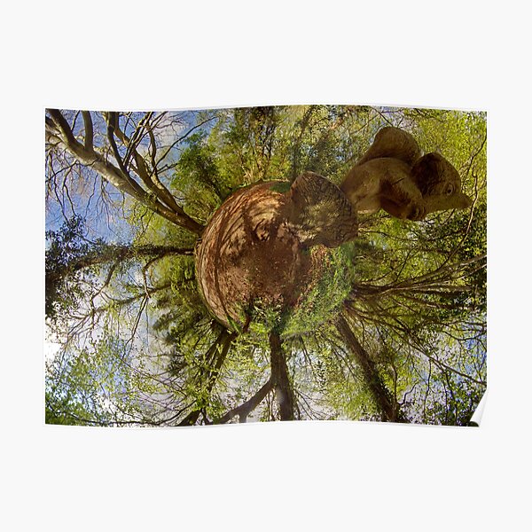 Squirrel Sculpture on path through Prehen Woods, Derry Poster