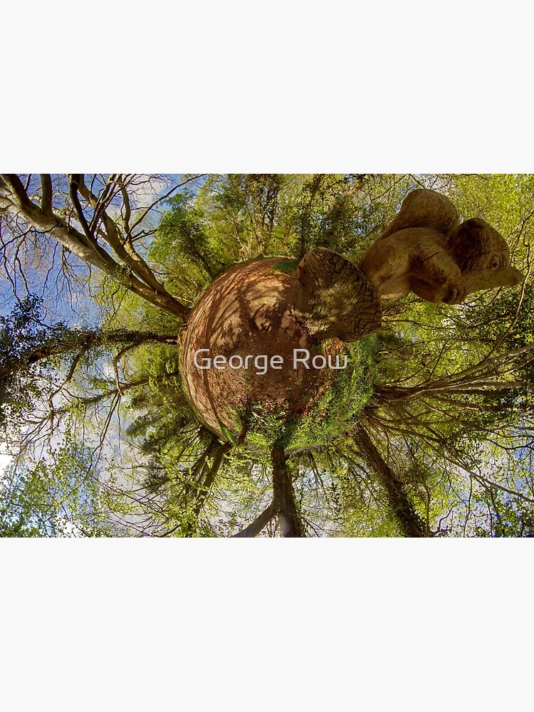 Squirrel Sculpture on path through Prehen Woods, Derry by VeryIreland