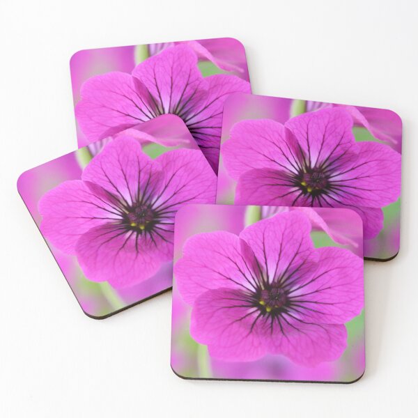 Item preview, Geranium psilostemon  AGM  Armenian cranesbill   designed and sold by Chris Burrows.