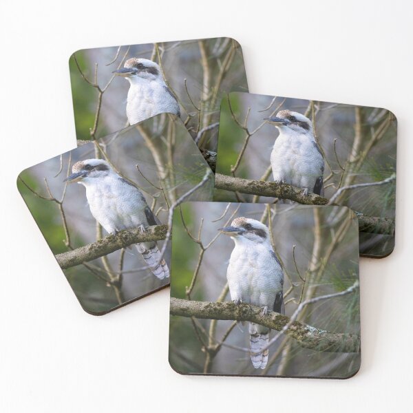 Item preview, Kookaburra in the bush - bird designed and sold by Tara Smithson.