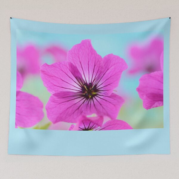 Item preview, Geranium psilostemon  AGM  Armenian cranesbill   designed and sold by Chris Burrows.
