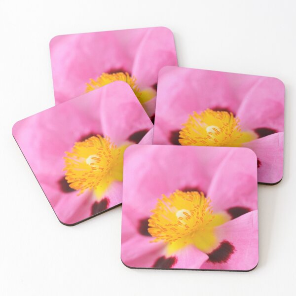 Item preview, Cistus × purpureus   AGM  Purple-flowered rock rose  designed and sold by Chris Burrows.