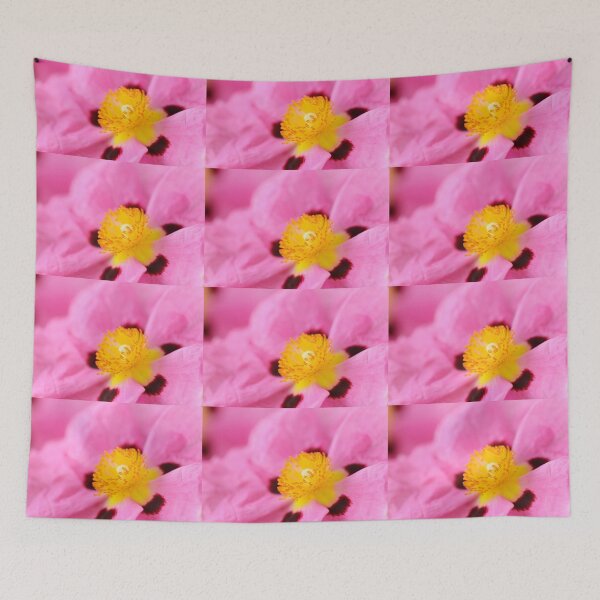 Item preview, Cistus × purpureus AGM Purple-flowered rock rose designed and sold by Chris Burrows.