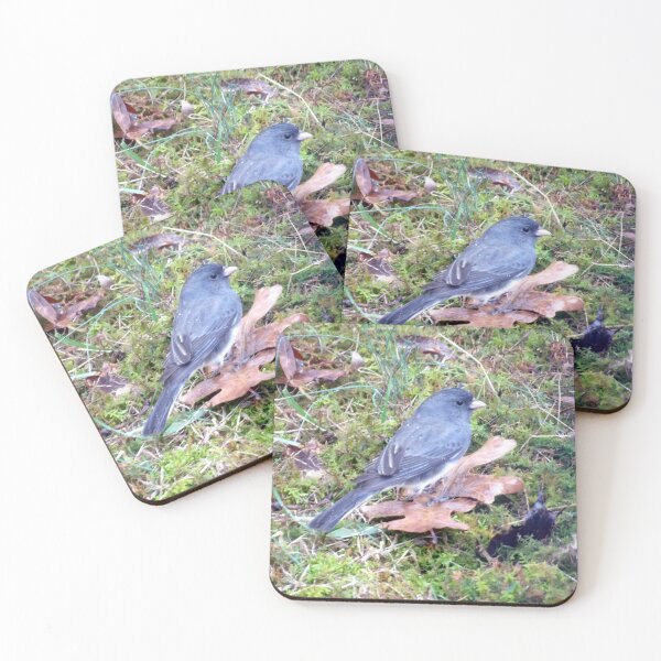 Item preview, Foraging Junco designed and sold by gistinker.