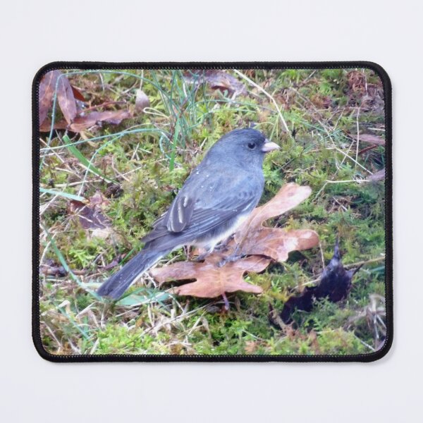Item preview, Foraging Junco designed and sold by gistinker.