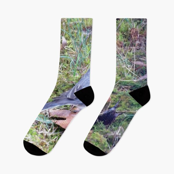 Item preview, Foraging Junco designed and sold by gistinker.