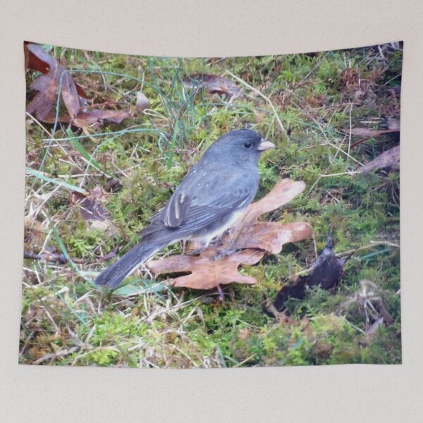 Item preview, Foraging Junco designed and sold by gistinker.