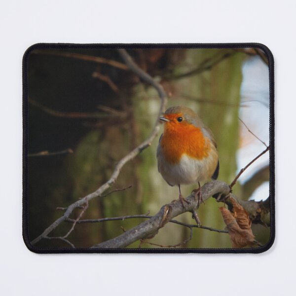 Item preview, Mr Robin on the branch designed and sold by StelleryART.