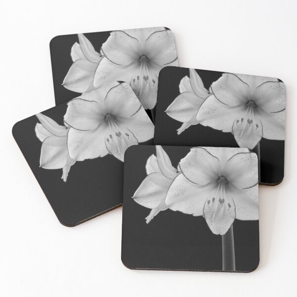Item preview, Amaryllis Mono designed and sold by AlysonFennell.
