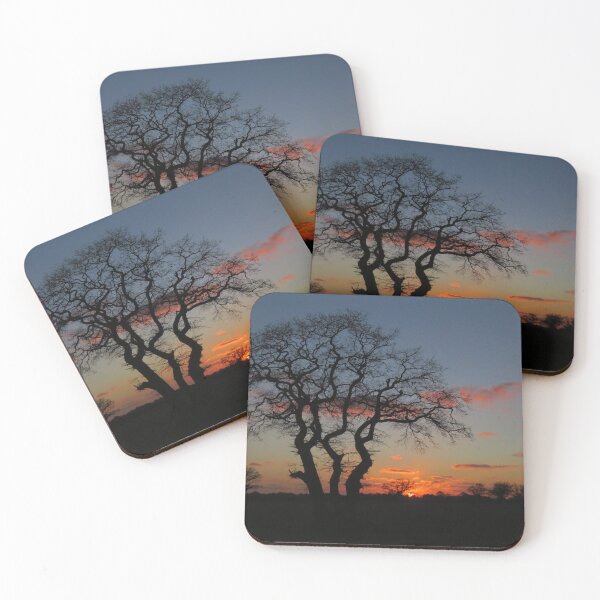 Item preview, Three Tree Trunks Sunrise designed and sold by wiggyofipswich.