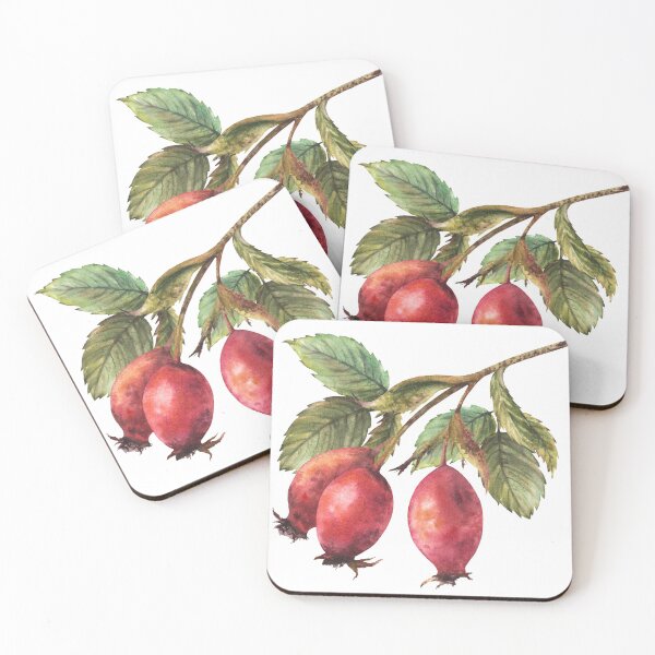 Item preview, Rose hip branch, dog rose or briar fruits watercolor hand drawn sticker. designed and sold by BartolArt.