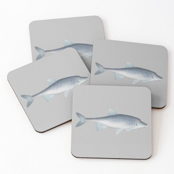Item preview, Humpback Chub designed and sold by fishfolkart.