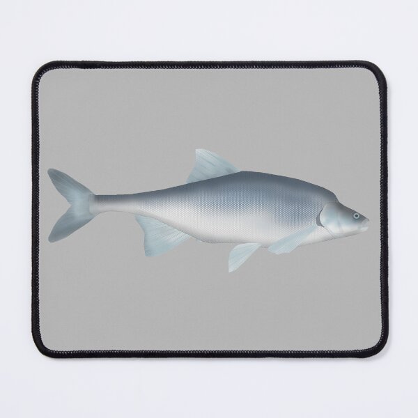 Item preview, Humpback Chub designed and sold by fishfolkart.
