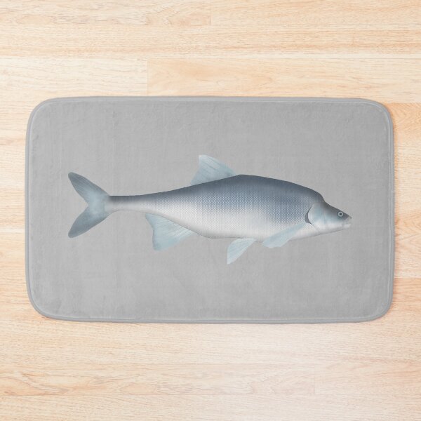 Item preview, Humpback Chub designed and sold by fishfolkart.