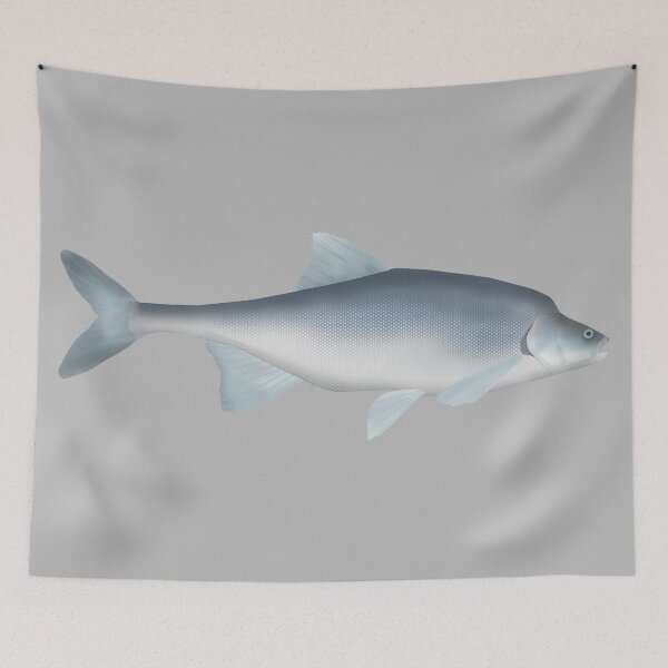 Item preview, Humpback Chub designed and sold by fishfolkart.