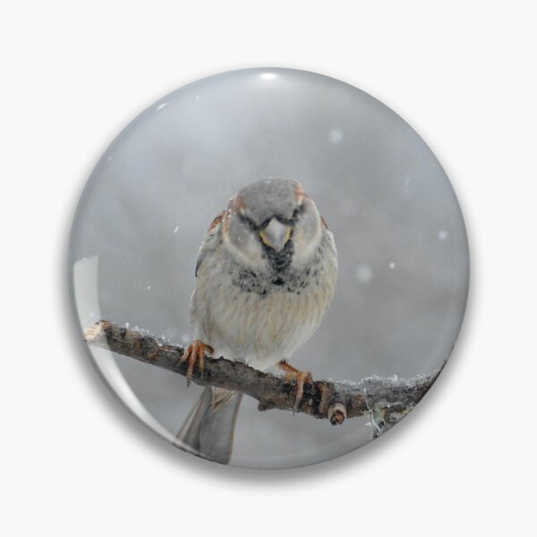 Item preview, Lone Sparrow in the Snow designed and sold by lisapicklepizza.