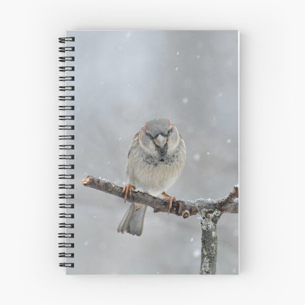 Item preview, Lone Sparrow in the Snow designed and sold by lisapicklepizza.