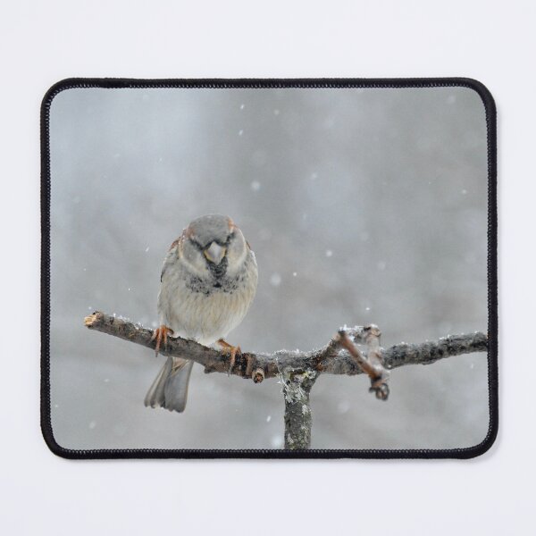 Item preview, Lone Sparrow in the Snow designed and sold by lisapicklepizza.