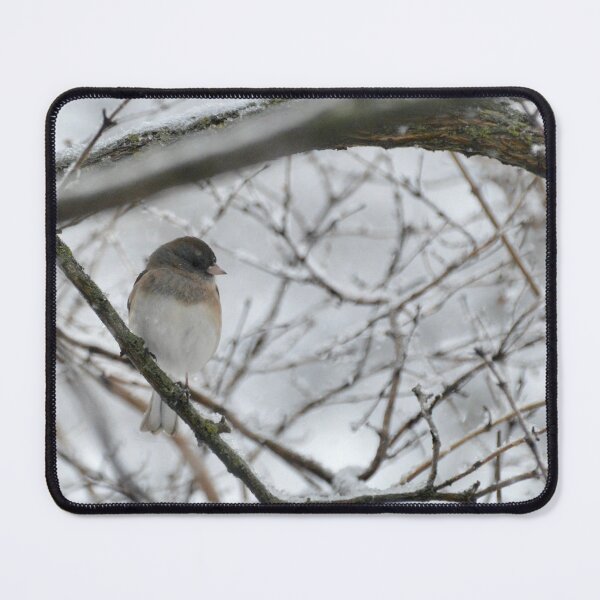 Item preview, Junco in the Snow designed and sold by lisapicklepizza.